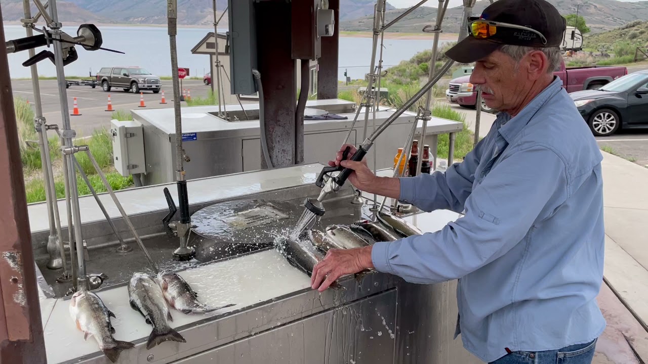 The Catch on Blue Mesa Reservoir