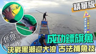 【台東】成功鏢旗魚 鏢手搏六級風浪決戰黑潮漁場（全台第一旗魚基地／旗魚拍賣 短兵相接）｜《世界第一等》993集精華版