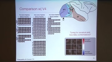 Thomas Serre: "Deep Learning in the Visual Cortex, Pt. 2"