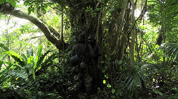 『野火』映画オリジナル特報