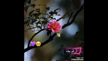 لَآ أُقْسِمُ بِيَوْمِ الْقِيَامَةِ / بصوت القارئ عبدالرحمن ذكرى