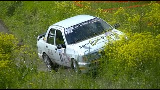 Rallye de la Matheysine 2024 Crash & Mistake