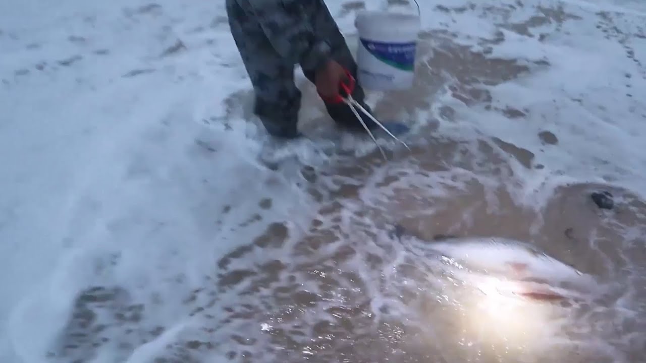 老四一大早踩狗屎运，发现大浪冲上来的大货，拿到海边被众人围观