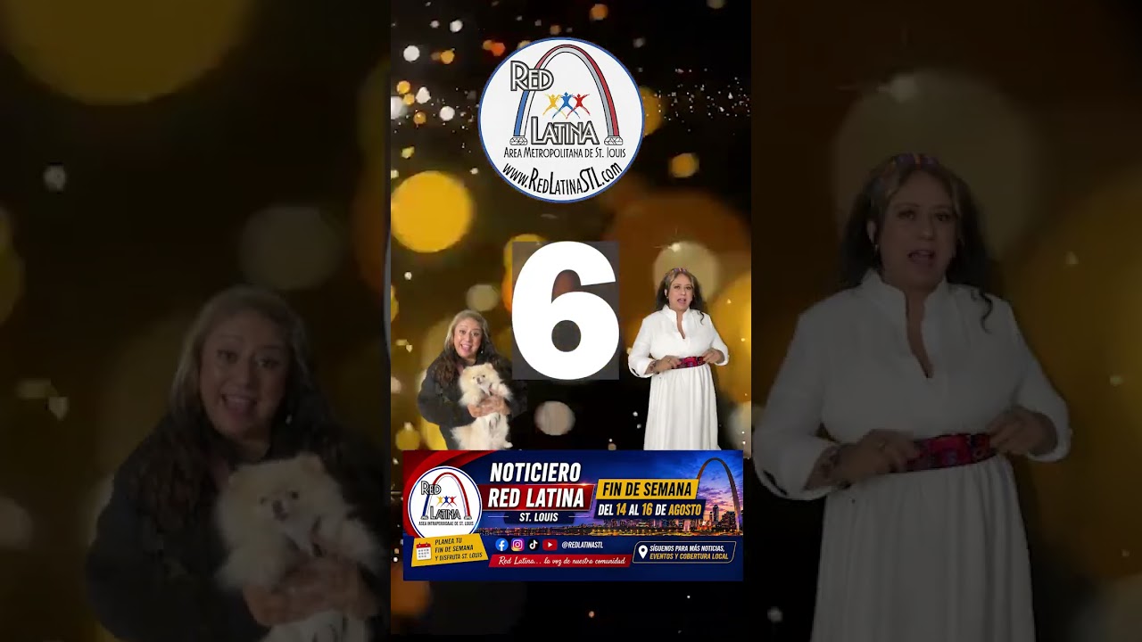 qué hacer en St. Louis este fin de semana
