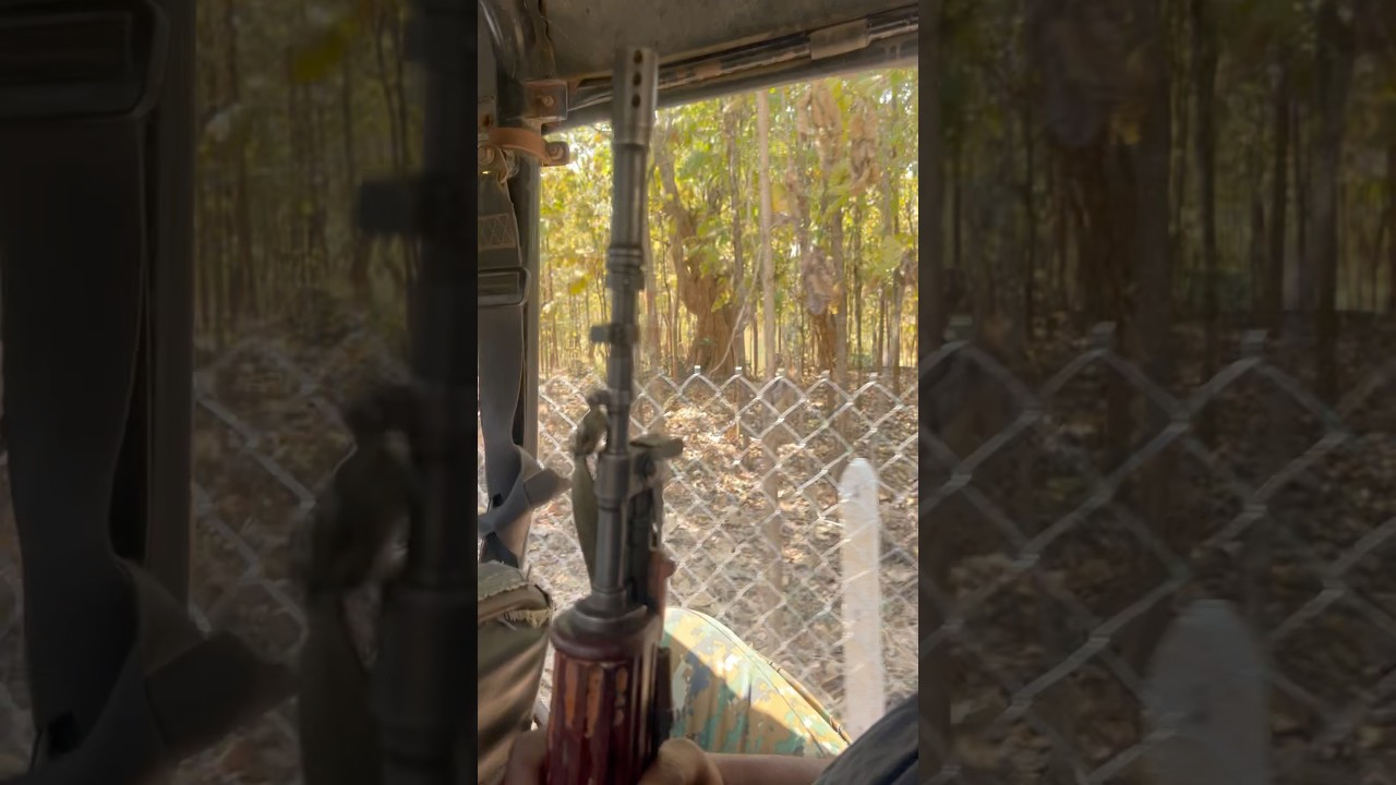 Dangerous Jungle In Jharkhand (India) 