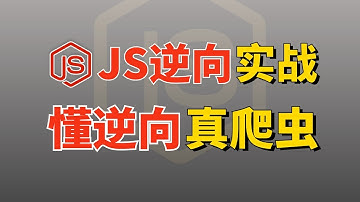 【JS逆向实战教学课】一节课教会你JS逆向数据加密解析！不懂逆向Python爬虫不是白学了嘛！附完整代码！