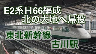 E2系H66編成 古川駅を北へ北へ!