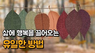 나에게 없는 것만 생각하느라 기쁨을 놓칩니다 | 꽃처럼 피어날 당신께, 강혜림