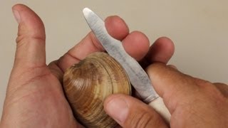 How to Open Clams