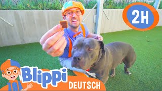 Blippi Deutsch  Blippi besucht das Tierheim | Abenteuer und Videos für Kinder