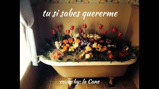 tu si sabes quererme | cover by: La Cane