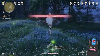 Testing Multistream Settings Part 2