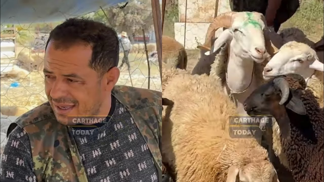 تاجر برحبة المروج: ما فماش انتاج العلوش هذه السنة و الإقبال ضعيف جدا  🐑🥩