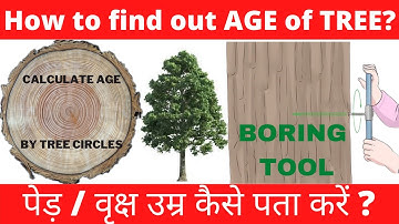 Determine Age of Tree without cutting Down | बोरिंग टूल से पेड़ की उम्र पता करे | Sanjay Meena