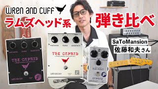 ギター THE CAPRID LEGENDARY DISTORTION ギター THE CAPRID LEGENDARY DISTORTION THE CAPRID LEGENDARY DISTORTION