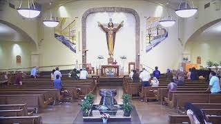 Monday Mass, Easter Weekday, May 11, 2026