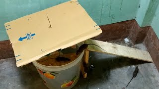 Best Idea Homemade Mouse Trap,New Type of Mouse Trap,Bucket mouse trap