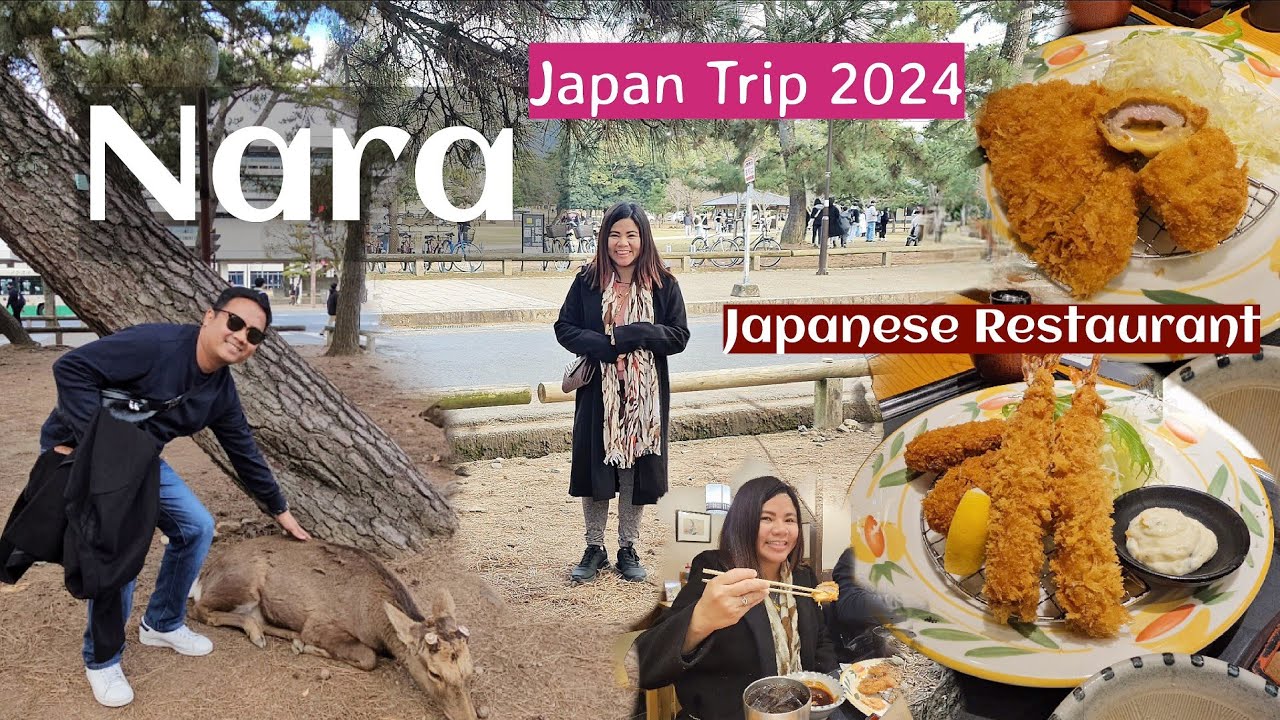 Nara Park Nara Deer Park Japanese Restaurant. Tonkatsu Ganko