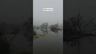 You Wont Believe This 20X Zoom