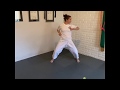 Karate workout using 3 surfaces of the foot and fist.