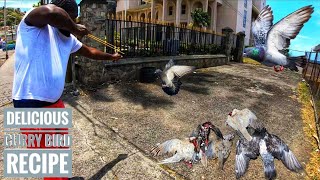 AMAZING SLINGSHOT HUNTING PIGEON + DOVE IN KINGSTOWN || DELICIOUS CURRY BIRD RECIPE Ep.66 screenshot 4