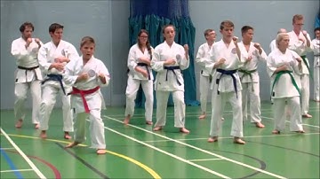 GKR Karate Kieran Duncan (age 11) Brown Belt Grading
