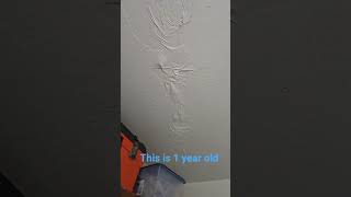 NYCHA was called to fix a leak that destroyed the entire wall