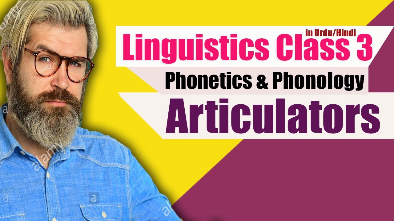 Articulators In Phonetics And Phonology Linguistics By Jadoon Sir