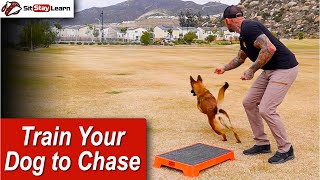 Train Your Dog to Chase by Dustin Winn