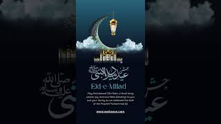 Next Wave Marketing 12 Rabi-Ul-Awal 2025 Video