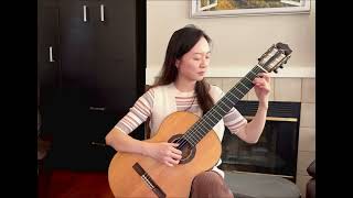 Largo (winter) from the Four Seasons, by Antonio Vivaldi, guitar