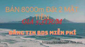 Bán Gấp 8000m Đất Vườn Có 300m Thổ Cư|ALO NHÀ ĐẤT|Trần Quang Vũ Official