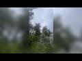 Storms with heavy rain, strong winds move through region | WHIO TV