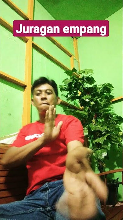 lagu juragan empang