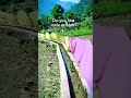 guess the place,like a Nature #nature #explore #trees #trending #wow #edit