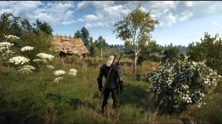 The Witcher 3: Wild Hunt | Reshade Sweetfx 2.0 MOD FREE