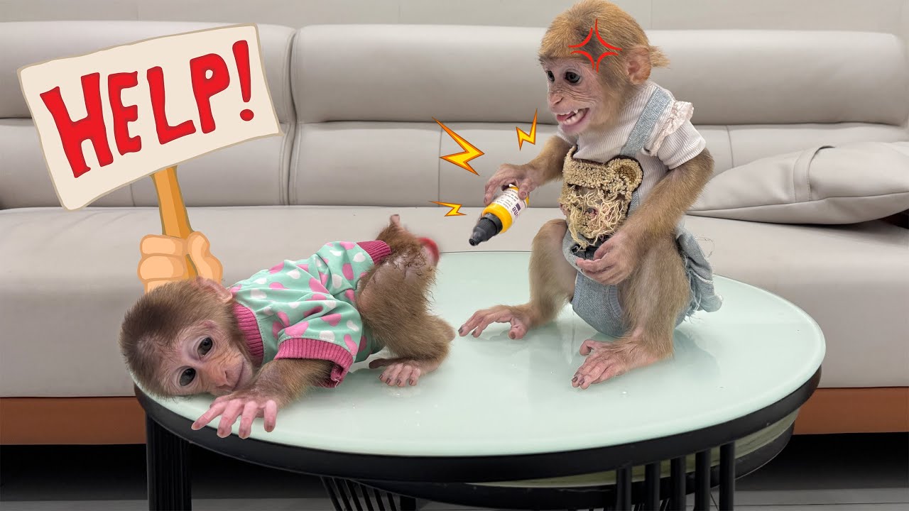 Lucky tries to find a way to help Sunny when her bottom becomes swollen and red!