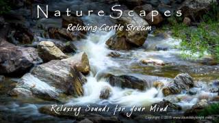 🎧 RELAXING GENTLE STREAM... Soothing Water Sounds to help you Sleep Better, Study &amp; Meditate