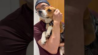 This is the life every lab beagle deserves. And we are going to give it to them.
James begs to be picked up then literally CRIES in happiness when I do it! 😂
This is the life every lab beagle deserves.
And we are going to give it to them.
#SaveTheDogs #RightToRescue
-
The Simple Heart on Substack - Subscribe to Wayne Hsiungs newsletter to learn more about the #RightToRescue at https://simpleheart.org!
- This is the life every lab beagle deserves. And we are going to give it to them.
