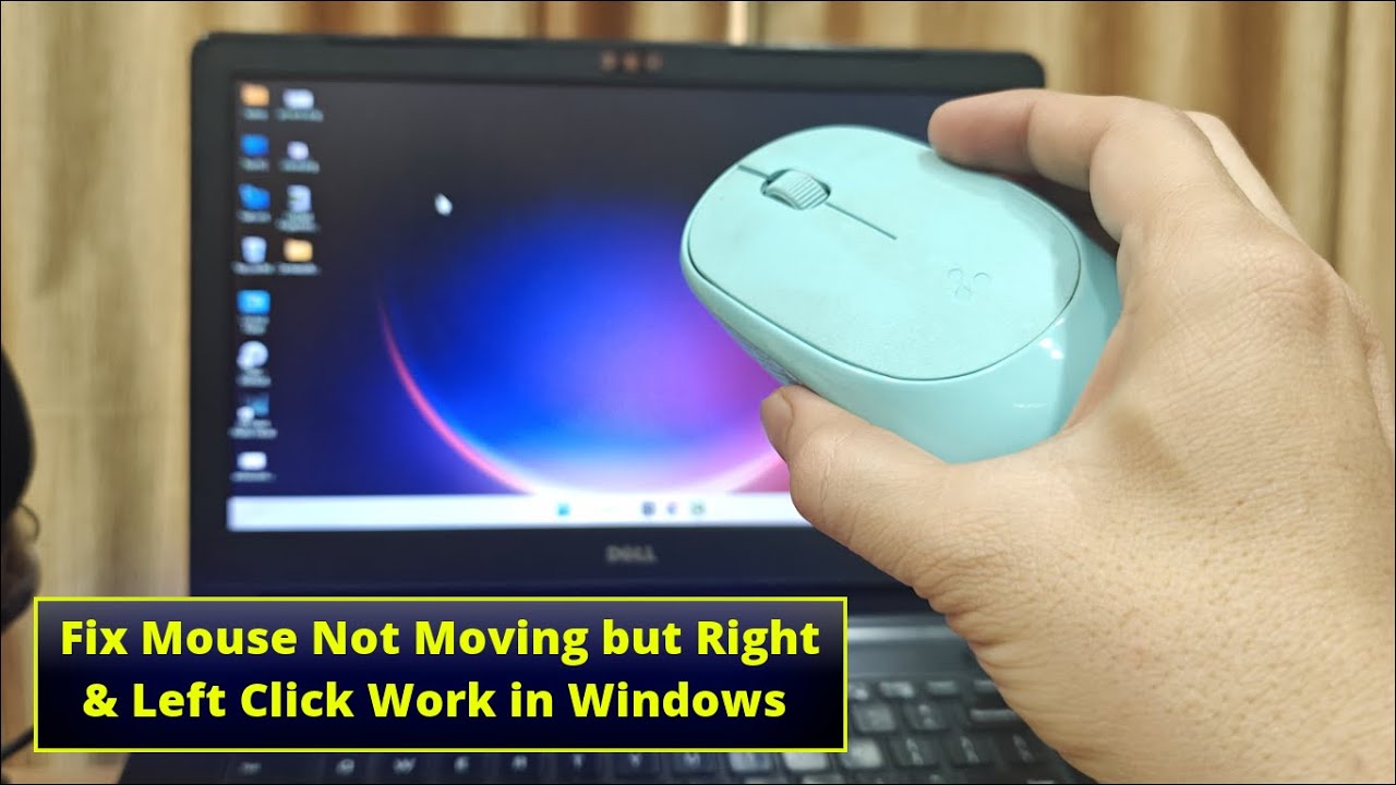 How to Fix Mouse Is Not Moving But Right and Left Click Are Working on ...