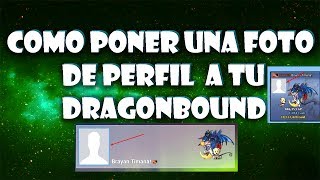 COMO PONER UNA FOTO DE PERFIL EN DRAGONBOUND !