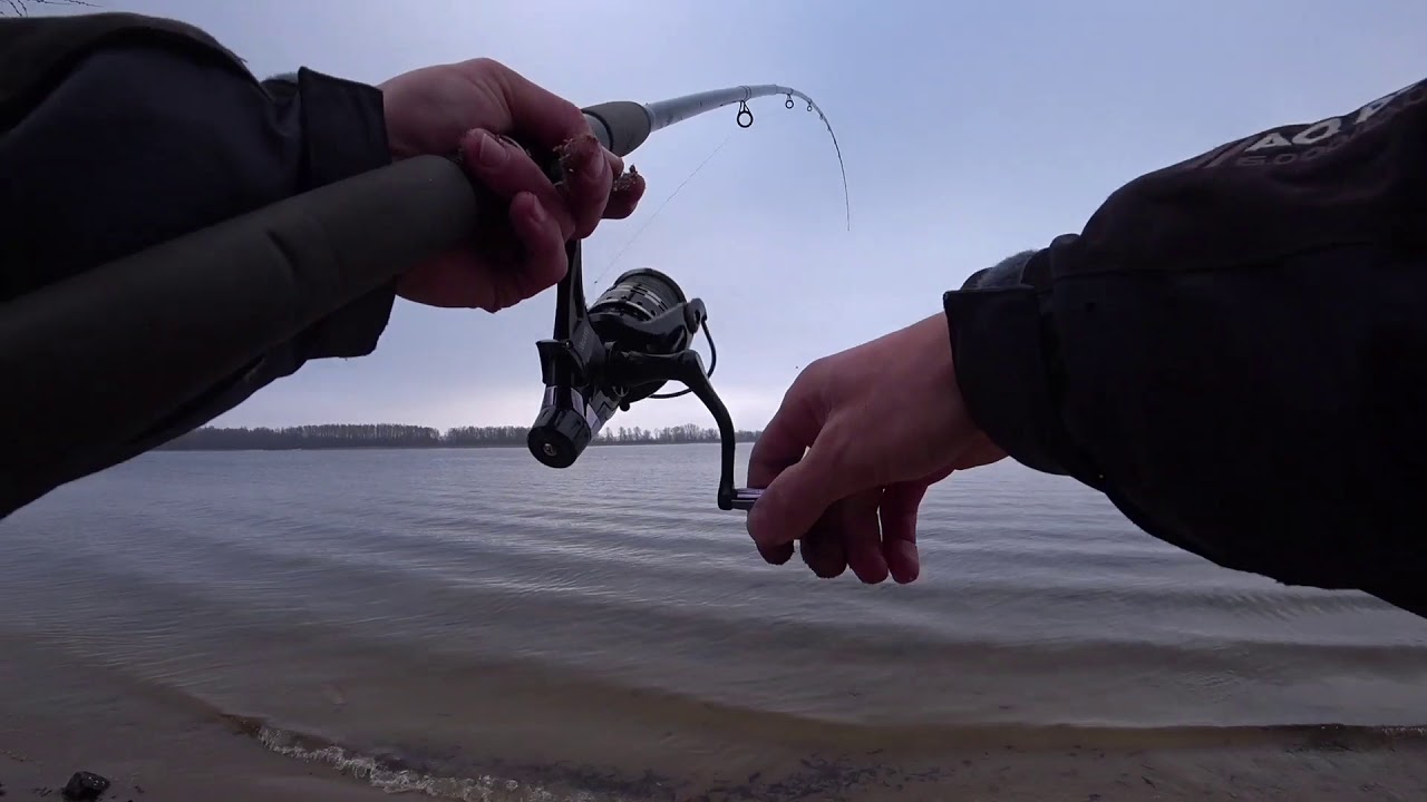 Фидерная рыбалка в Киеве.Первый выход!