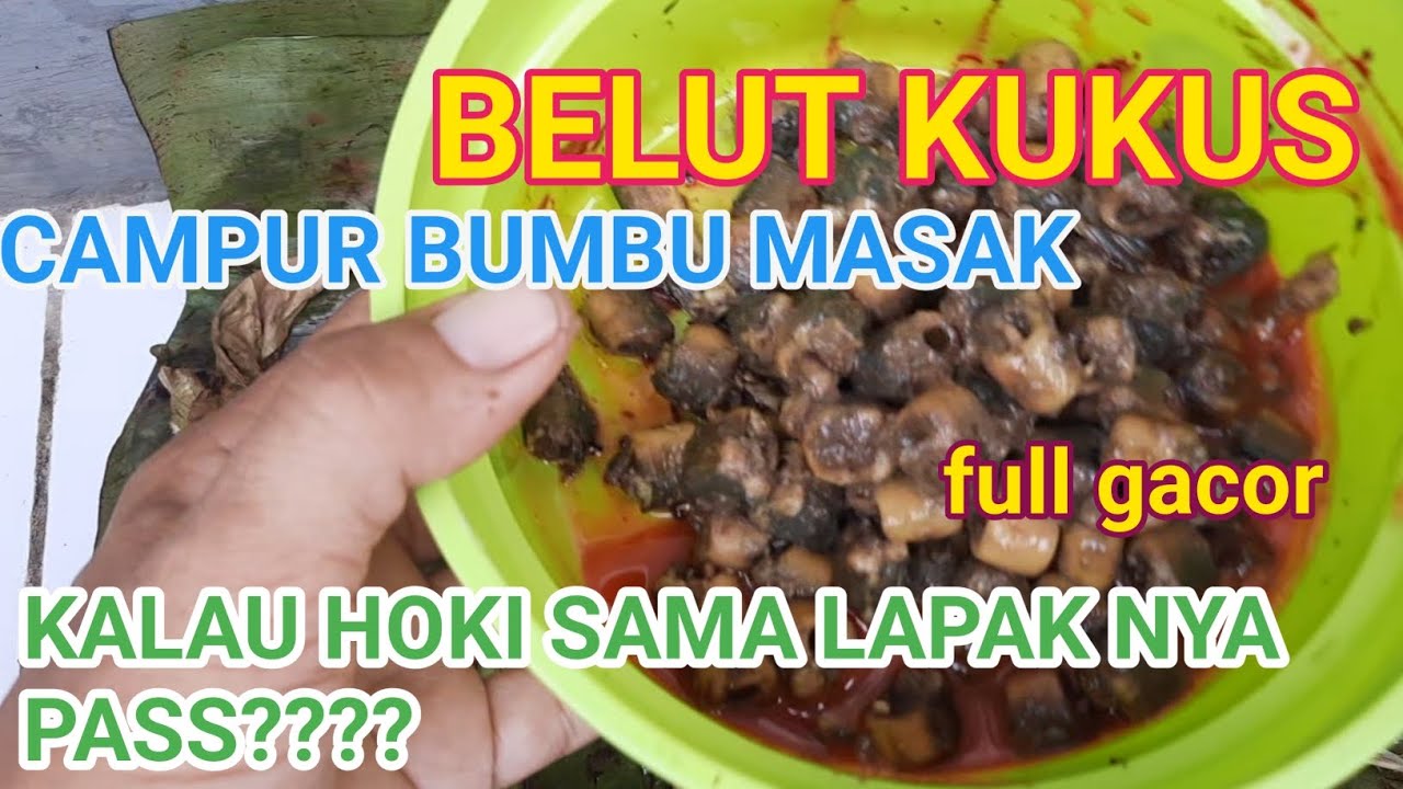 RACIKAN BELUT KUKUS GACOR || DI OLAH CAMPUR BUMBU DAPUR cocok GALATAMA/HARIAN