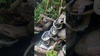 5SF Test Broadcast. Checking the frequency. #5SF #Fountain #Test"