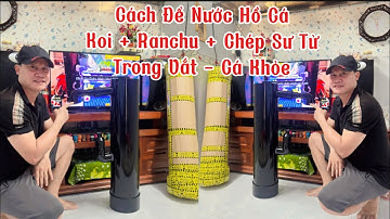 Cách Làm Lọc Hiệu Quả giúp Nước Hồ Cá Koi + Chép Sư Tử + Ranchu Siêu Trong - Nguyên Lý Hoạt Động.