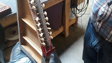 Stalking the Wild Autoharp; ring the CRAZY ALARM for the CRAZY harp of the year!