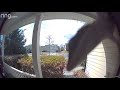 Aggressive Geico salesman caught on ring doorbell camera