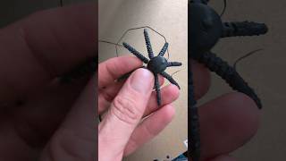 another technique for flexible prints #3dprint #flexiprint another technique for flexible prints #3dprint #flexiprint