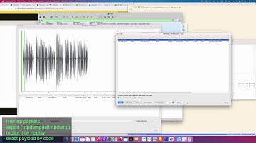 how to export rtpdump for rtpplay
