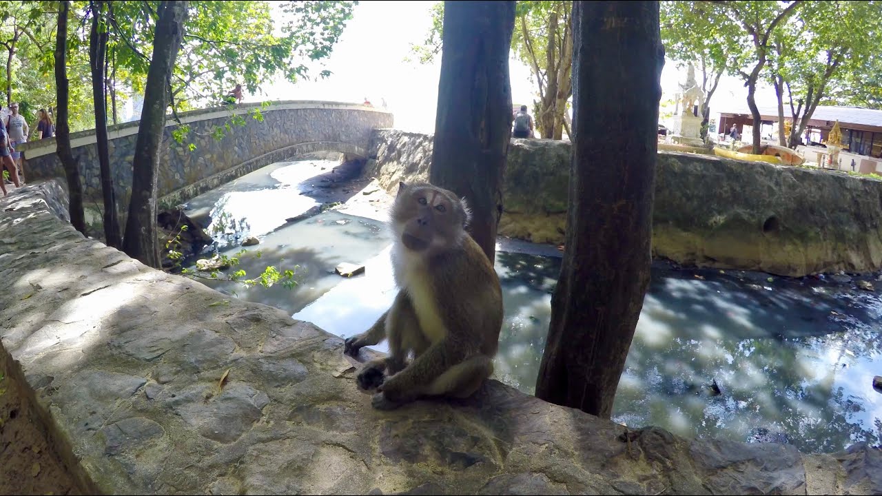 Encore Ao Nang!   4K